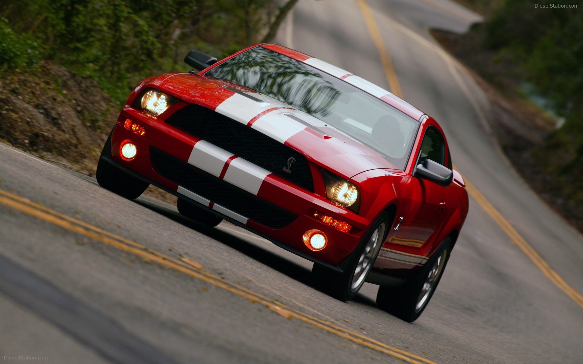 Ford Shelby Cobra GT500